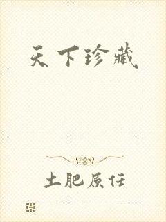天下珍藏