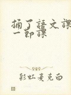 捅了语文课代表一节课封面