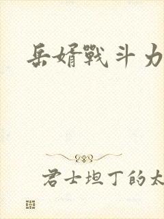 岳婿战斗力