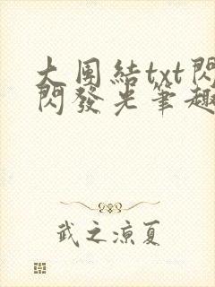 大团结txt闪闪发光笔趣阁封面