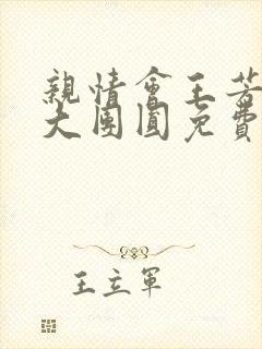 亲情会王芳高敏大团圆免费阅读