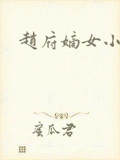 赵府嫡女小说封面