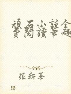 顽石小说全文免费阅读笔趣阁