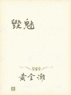 毁魅