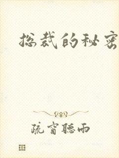 总裁的秘密情人