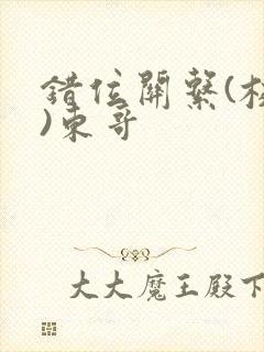 错位关系(校园)东哥