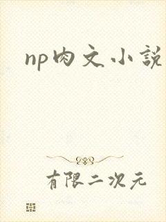 np肉文小说