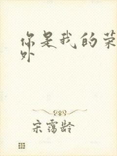 你是我的荣耀番外