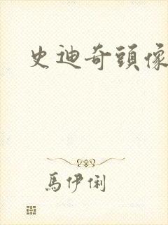 史迪奇头像
