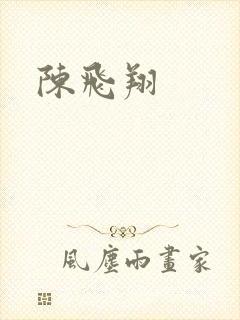 陈飞翔封面