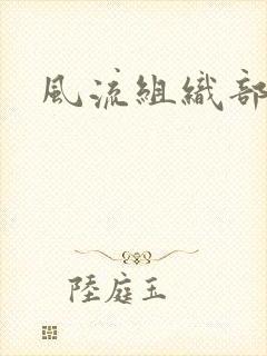 风流组织部长