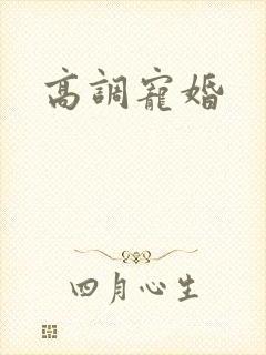 高调宠婚封面