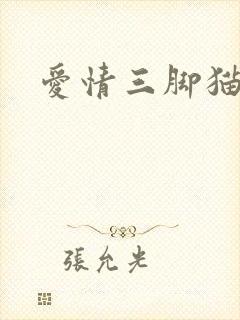 爱情三脚猫封面