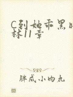 C到她乖黑暗森林11章封面