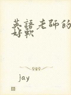英语老师的兔子好软