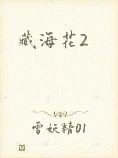 藏海花2