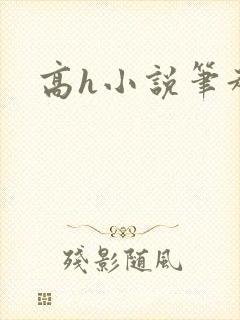 高h小说笔趣阁