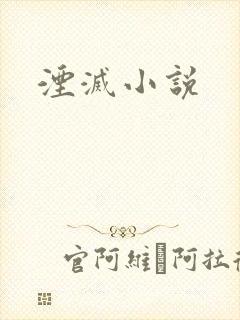湮灭小说