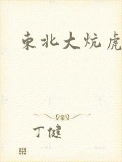 东北大炕虎子封面
