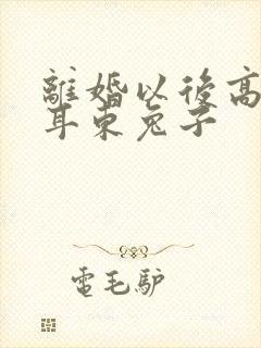 离婚以后高干 耳东兔子
