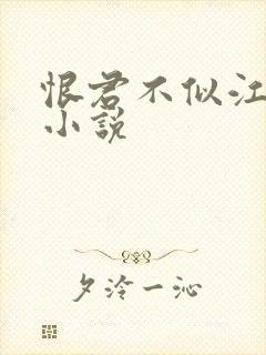 恨君不似江楼月小说
