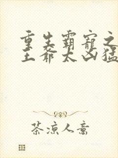重生霸宠之摄政王爷太凶猛封面