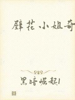 壁花小姐奇遇记
