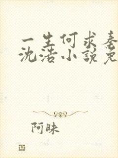 一生何求秦菲雪沈浩小说免费阅读全文封面