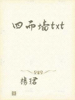 四面墙txt封面