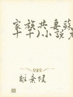 家族共妻苏苏(十千)小说免费