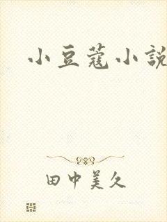 小豆蔻小说封面
