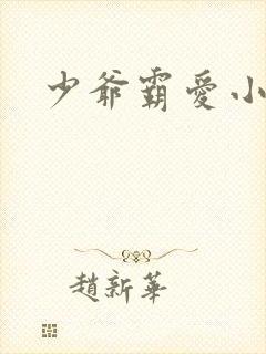 少爷霸爱小丫头