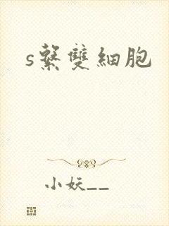 s系双细胞