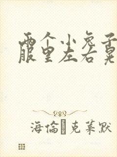 两个小兔子在衣服里左右晃