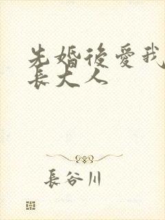 先婚后爱我的市长大人
