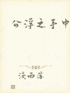 公浮之手中字5封面