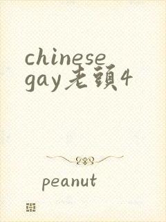 chinesegay老头4