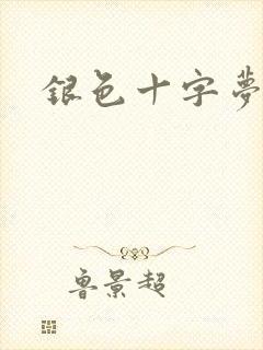 银色十字梦封面