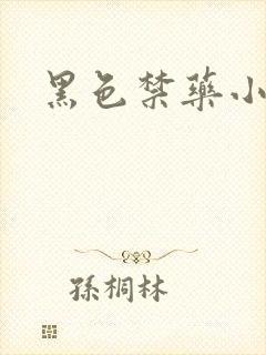 黑色禁药小说封面