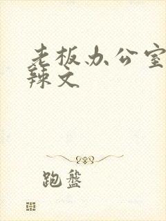 老板办公室系列辣文