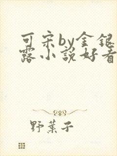 可宋by金银花露小说好看吗封面