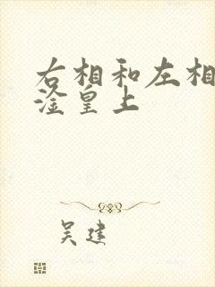 右相和左相一起淦皇上封面