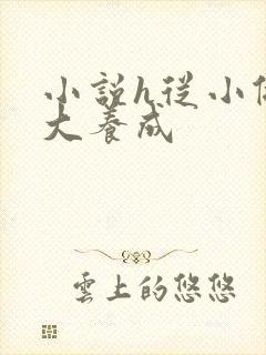 小说h从小做到大养成