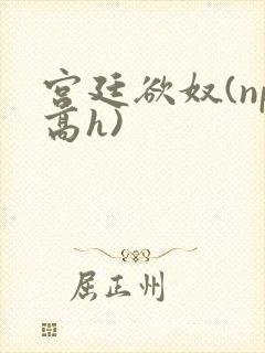宫廷欲奴(np高h)