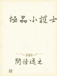极品小护士封面