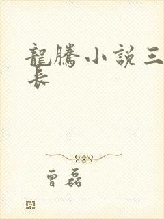 龙腾小说三宝局长