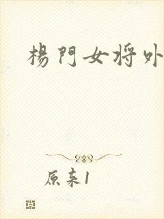 杨门女将外传封面