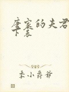 唐家的夫君们帘下衾