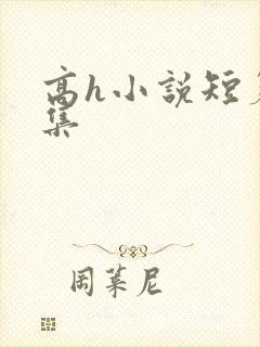 高h小说短篇合集