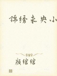 锦绣未央小说封面